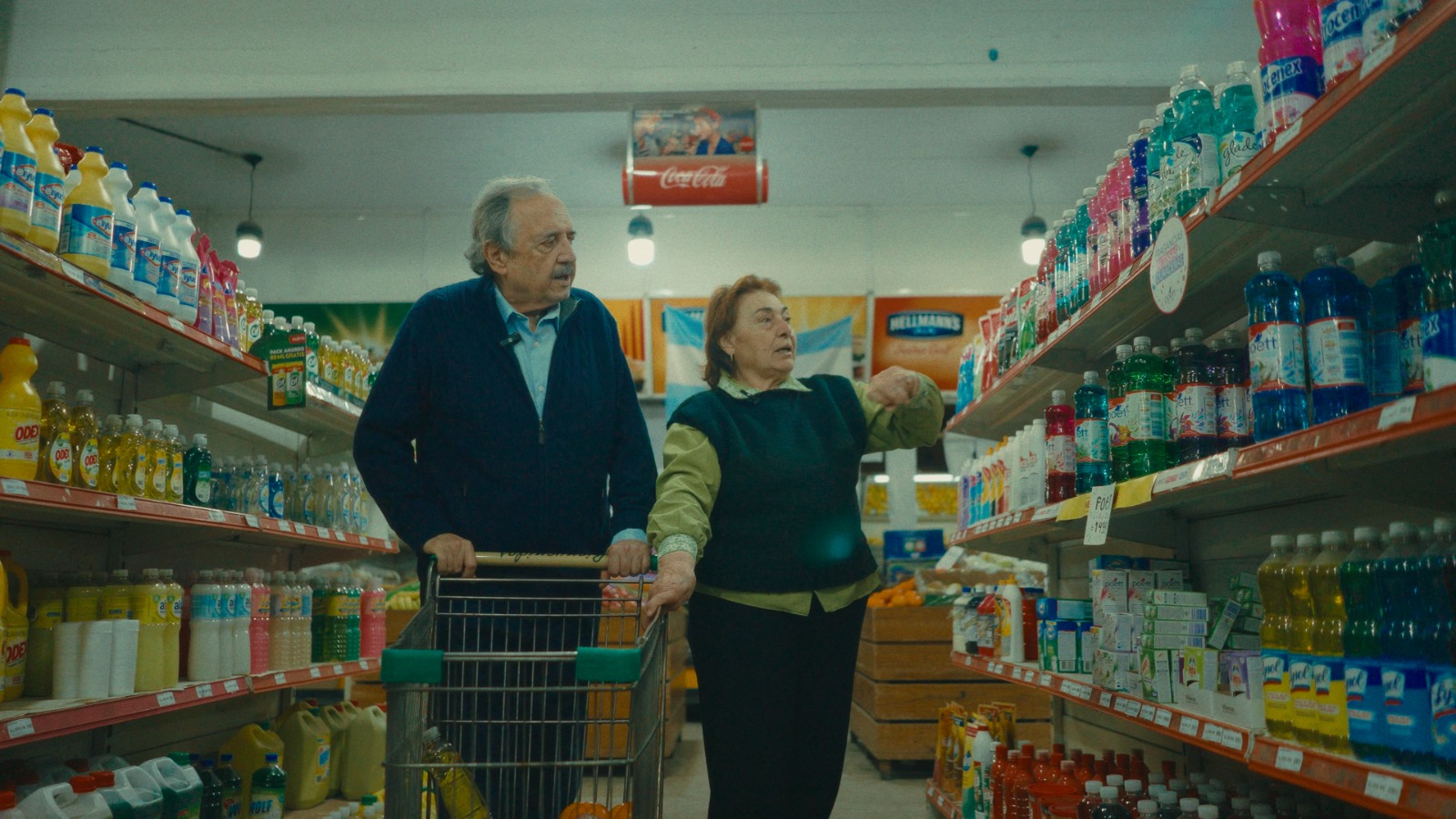 Por Los Valores - Alfonsín - Candidato a Diputado - Provincia de Buenos Aires - Proyecto Sur